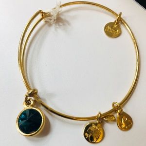 Gold alex and ani bangle